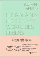 헤르만 헤세 인생의 말
