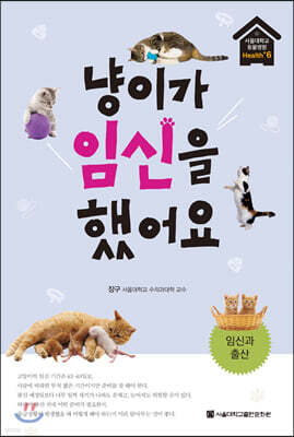 냥이가 임신을 했어요