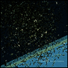 Nishihara Kenichiro (니시하라 켄이치로) - Sincerely... (LP)