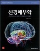 신경해부학