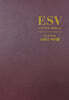 ESV 스터디 바이블 개역개정