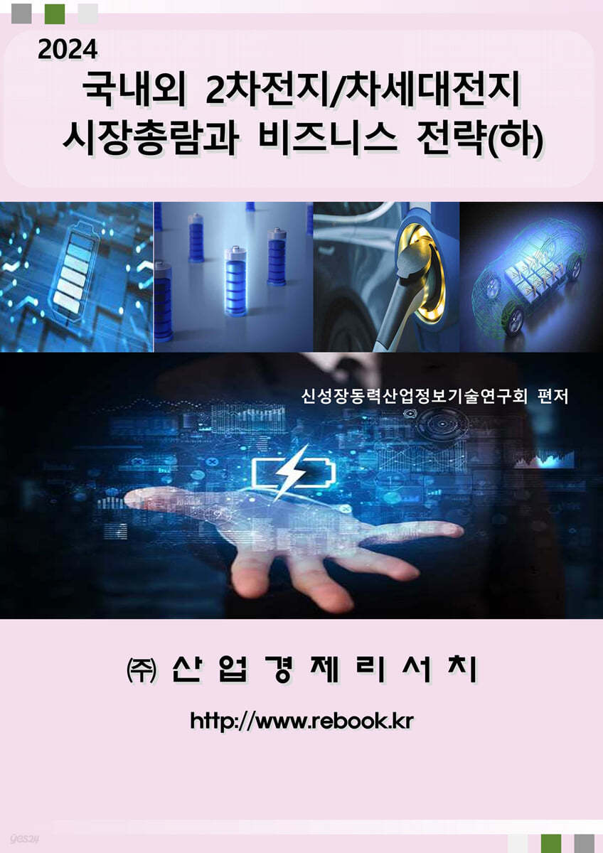 국내외 2차전지/차세대전지 시장총람과 비즈니스 전략(하)