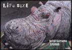 LIFE SIZE