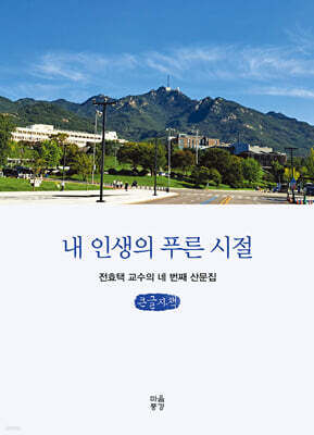 내 인생의 푸른 시절 (큰글자책)
