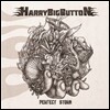 해리빅버튼 (HarryBigButton) - Perfect Storm