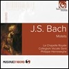 Philippe Herreweghe 바흐: 6개의 모테트 BWV 225-230 - 헤레베헤 (J.S. Bach: Motets BWV 225-230)