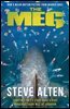 The MEG