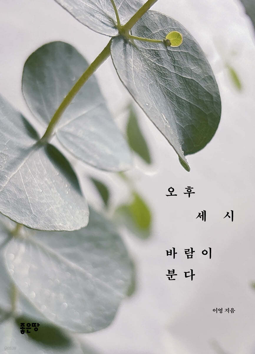 오후 세 시 바람이 분다