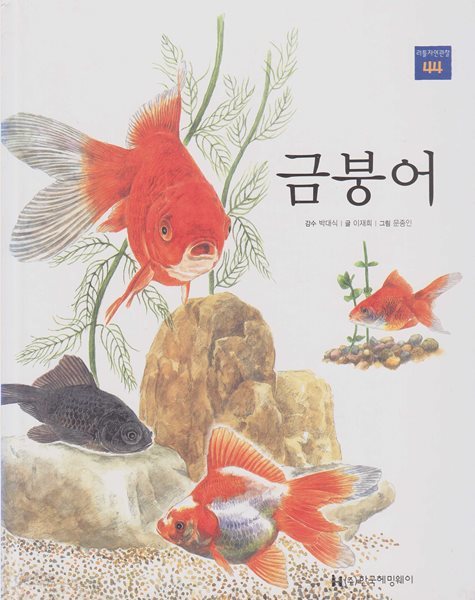 금붕어 (리틀 자연관찰, 44 - 물에 사는 동물) (ISBN : 9788954818575)