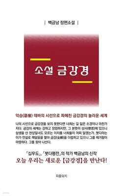 소설 금강경