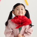 뷰티풀데코센스 점보 카네이션 종이꽃 어버이날 선물