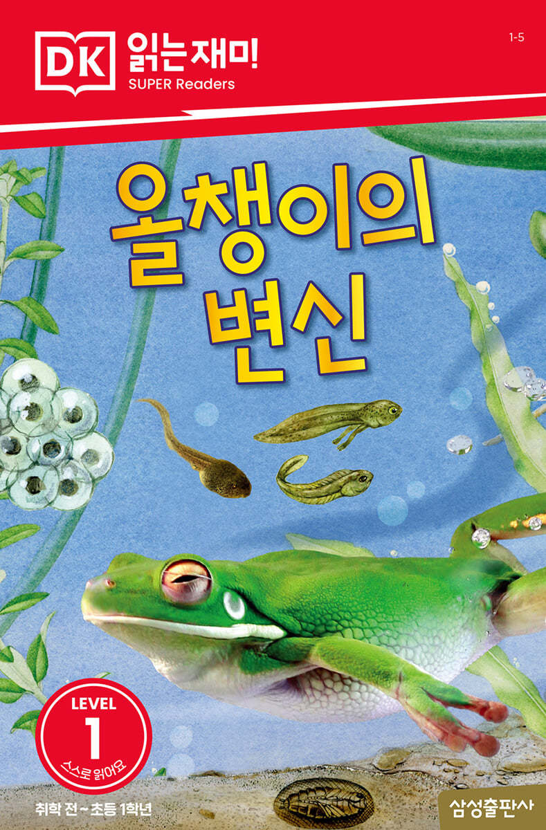 올챙이의 변신