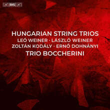 Trio Boccherini 헝가리 현악 트리오 연주집 (Hungarian String Trio)