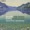 Christian Poltera / Ronald Brautigam 브람스: 첼로 소나타 1-2번 (Brahms: Cello Sonatas)