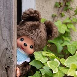 몬치치 Monchhichi 프렌즈 인형 S-Kuma
