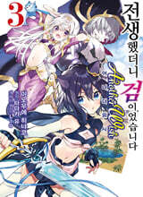 전생했더니 검이었습니다 Another Wish 3