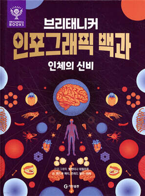 브리태니커 인포그래픽 백과 : 인체의 신비