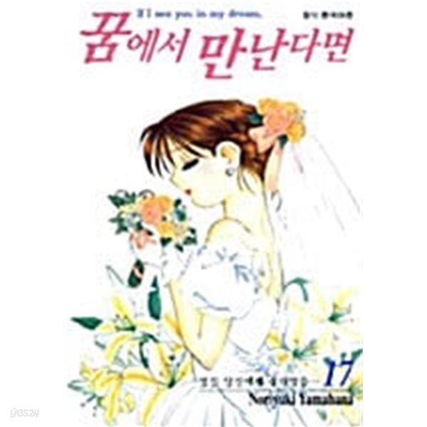 꿈에서 만난다면 1~17 완 /특가 염가판매 / 설명참조  *********** 북토피아