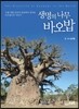 생명의 나무 바오밥