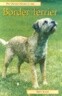 Border Terrier