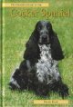 Cocker Spaniel
