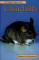 Chinchilla