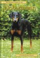 Dobermann
