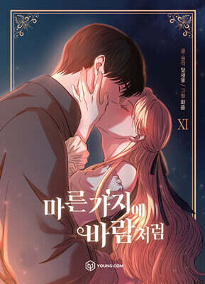 만화 마른 가지에 바람처럼 11