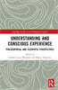 Understanding and Conscious Experience