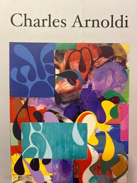 Charles Arnoldi  선과 색의 조화, 찰스 아놀디 展 [부산시립미술관 2003]