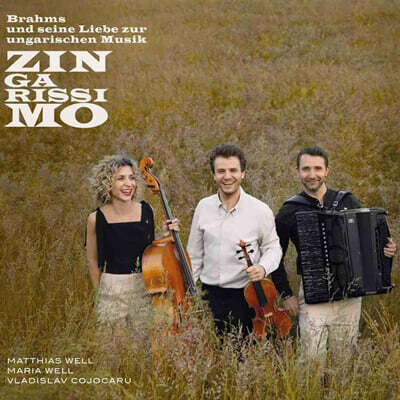 Matthias Well, Maria Well & Vladislav Cojocaru - Zingarissimo