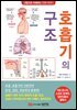 호흡기의 구조