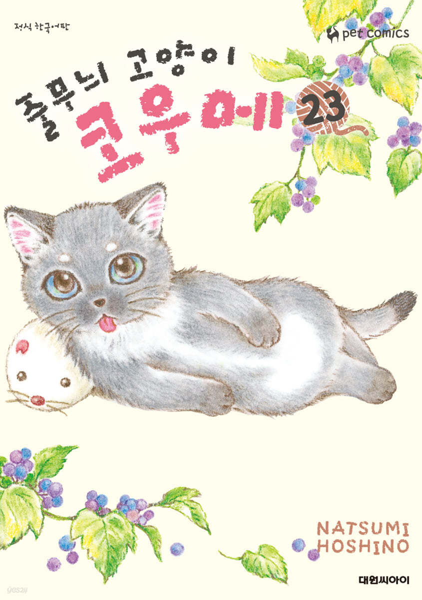 줄무늬 고양이 코우메 23