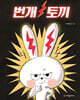 번개 토끼