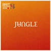 Jungle (정글) - Volcano [LP]