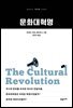 문화대혁명