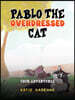 Pablo the Overdressed Cat