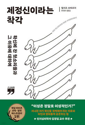 제정신이라는 착각 (큰글자책)