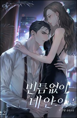빈틈없이 네 안으로 2권