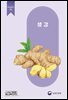생강 (개정판)