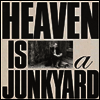 Youth Lagoon - Heaven Is A Junkyard (Vinyl LP)