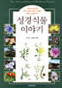 성경식물 이야기