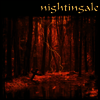 Nightingale - I (Reissue)(180g LP)
