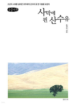 사막에 핀 산수유 (큰글자책)