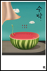 수박