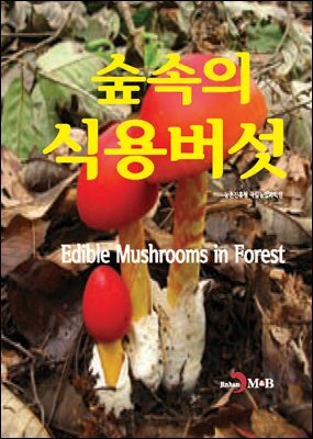 숲속의 식용버섯