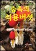 숲속의 식용버섯