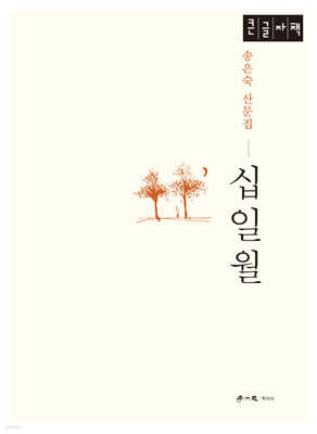 십일월 (큰글자책)
