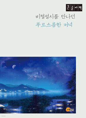 비정성시를 만나던 푸르스름한 저녁 (큰글자책)