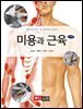미용과 근육
